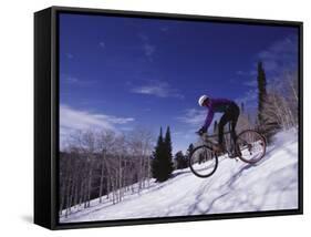 Mountain Biking on Snow-null-Framed Stretched Canvas