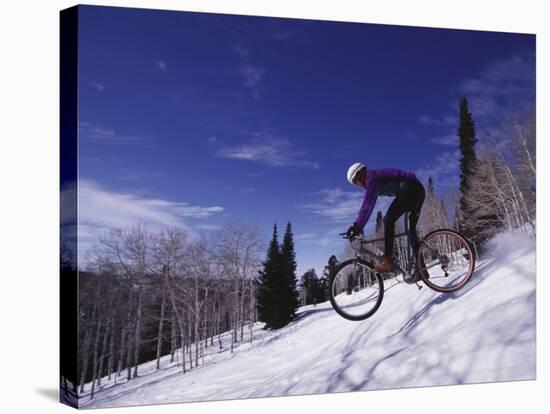 Mountain Biking on Snow-null-Stretched Canvas