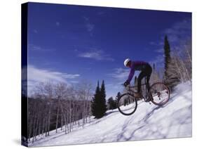 Mountain Biking on Snow-null-Stretched Canvas