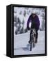 Mountain Biking on Snow-null-Framed Stretched Canvas