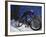 Mountain Biking on Snow-null-Framed Photographic Print