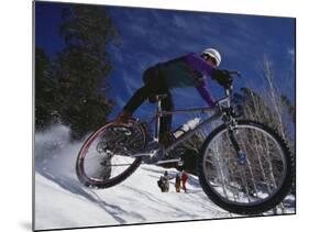 Mountain Biking on Snow-null-Mounted Photographic Print