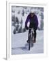 Mountain Biking on Snow-null-Framed Photographic Print