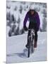 Mountain Biking on Snow-null-Mounted Photographic Print