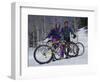 Mountain Biking on Snow-null-Framed Photographic Print