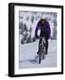 Mountain Biking on Snow-null-Framed Photographic Print