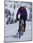 Mountain Biking on Snow-null-Mounted Photographic Print