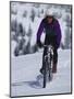 Mountain Biking on Snow-null-Mounted Photographic Print