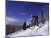 Mountain Biking on Snow-null-Mounted Photographic Print