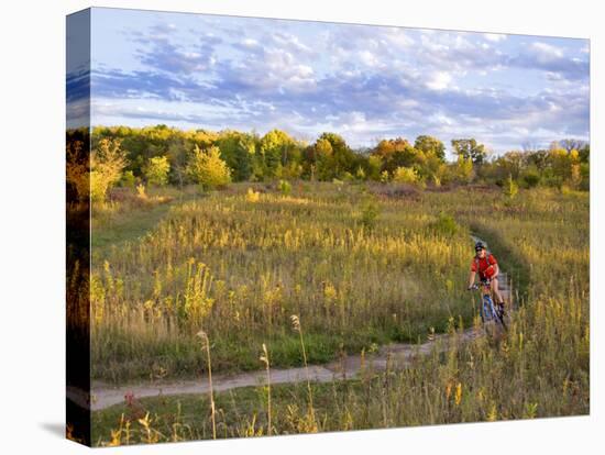 Mountain biking on the Murphy Hanrehan Trails near Minneapolis, Minnesota, USA-Chuck Haney-Stretched Canvas