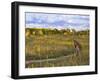 Mountain biking on the Murphy Hanrehan Trails near Minneapolis, Minnesota, USA-Chuck Haney-Framed Photographic Print