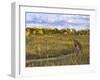 Mountain biking on the Murphy Hanrehan Trails near Minneapolis, Minnesota, USA-Chuck Haney-Framed Photographic Print