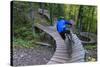 Mountain biking on the Over the Edge Trail, Copper Harbor, Michigan-Chuck Haney-Stretched Canvas