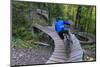 Mountain biking on the Over the Edge Trail, Copper Harbor, Michigan-Chuck Haney-Mounted Photographic Print