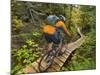 Mountain biking on the Stairway to Heaven Trail, Copper Harbor, Michigan, USA-Chuck Haney-Mounted Photographic Print