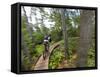 Mountain biking on the Stairway to Heaven Trail in Copper Harbor, Michigan, USA-Chuck Haney-Framed Stretched Canvas