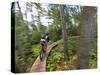 Mountain biking on the Stairway to Heaven Trail in Copper Harbor, Michigan, USA-Chuck Haney-Stretched Canvas