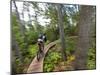 Mountain biking on the Stairway to Heaven Trail in Copper Harbor, Michigan, USA-Chuck Haney-Mounted Photographic Print