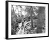 Mountain biking on the Stairway to Heaven Trail in Copper Harbor, Michigan, USA-Chuck Haney-Framed Photographic Print