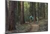 Mountain Biking on the Whitefish Trail, Montana, USA-Chuck Haney-Mounted Photographic Print