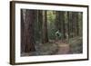 Mountain Biking on the Whitefish Trail, Montana, USA-Chuck Haney-Framed Photographic Print