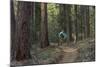 Mountain Biking on the Whitefish Trail, Montana, USA-Chuck Haney-Mounted Photographic Print