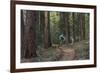 Mountain Biking on the Whitefish Trail, Montana, USA-Chuck Haney-Framed Photographic Print