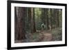 Mountain Biking on the Whitefish Trail, Montana, USA-Chuck Haney-Framed Photographic Print