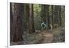 Mountain Biking on the Whitefish Trail, Montana, USA-Chuck Haney-Framed Photographic Print