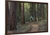 Mountain Biking on the Whitefish Trail, Montana, USA-Chuck Haney-Framed Photographic Print