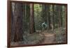 Mountain Biking on the Whitefish Trail, Montana, USA-Chuck Haney-Framed Photographic Print