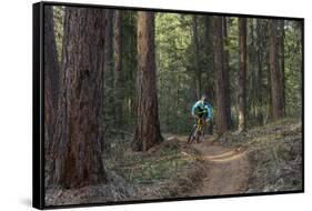 Mountain Biking on the Whitefish Trail, Montana, USA-Chuck Haney-Framed Stretched Canvas