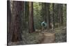 Mountain Biking on the Whitefish Trail, Montana, USA-Chuck Haney-Stretched Canvas