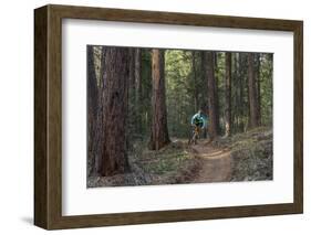 Mountain Biking on the Whitefish Trail, Montana, USA-Chuck Haney-Framed Photographic Print