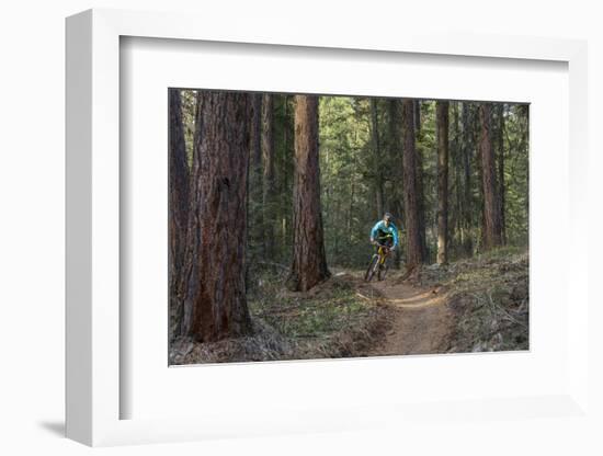 Mountain Biking on the Whitefish Trail, Montana, USA-Chuck Haney-Framed Photographic Print