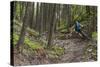 Mountain Biking the Whitefish Trail Near Whitefish, Montana, USA-Chuck Haney-Stretched Canvas