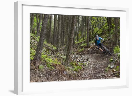 Mountain Biking the Whitefish Trail Near Whitefish, Montana, USA-Chuck Haney-Framed Photographic Print