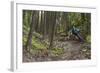 Mountain Biking the Whitefish Trail Near Whitefish, Montana, USA-Chuck Haney-Framed Photographic Print