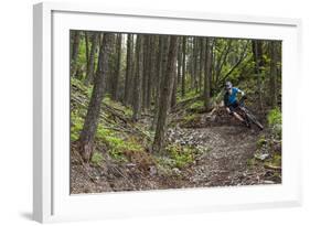 Mountain Biking the Whitefish Trail Near Whitefish, Montana, USA-Chuck Haney-Framed Photographic Print