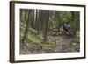 Mountain Biking the Whitefish Trail Near Whitefish, Montana, USA-Chuck Haney-Framed Photographic Print