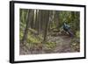 Mountain Biking the Whitefish Trail Near Whitefish, Montana, USA-Chuck Haney-Framed Photographic Print