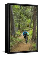 Mountain Biking the Whitefish Trail Near Whitefish, Montana, USA-Chuck Haney-Framed Stretched Canvas