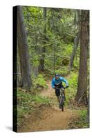 Mountain Biking the Whitefish Trail Near Whitefish, Montana, USA-Chuck Haney-Stretched Canvas