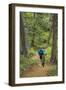 Mountain Biking the Whitefish Trail Near Whitefish, Montana, USA-Chuck Haney-Framed Photographic Print