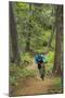 Mountain Biking the Whitefish Trail Near Whitefish, Montana, USA-Chuck Haney-Mounted Photographic Print