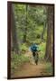 Mountain Biking the Whitefish Trail Near Whitefish, Montana, USA-Chuck Haney-Framed Premium Photographic Print