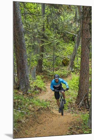 Mountain Biking the Whitefish Trail Near Whitefish, Montana, USA-Chuck Haney-Mounted Premium Photographic Print