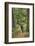 Mountain Biking the Whitefish Trail Near Whitefish, Montana, USA-Chuck Haney-Framed Photographic Print