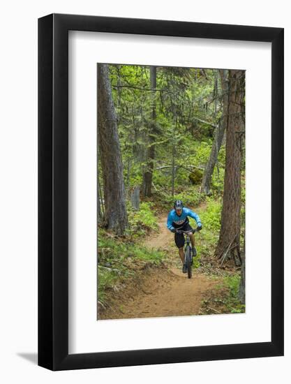 Mountain Biking the Whitefish Trail Near Whitefish, Montana, USA-Chuck Haney-Framed Photographic Print