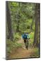 Mountain Biking the Whitefish Trail Near Whitefish, Montana, USA-Chuck Haney-Mounted Photographic Print